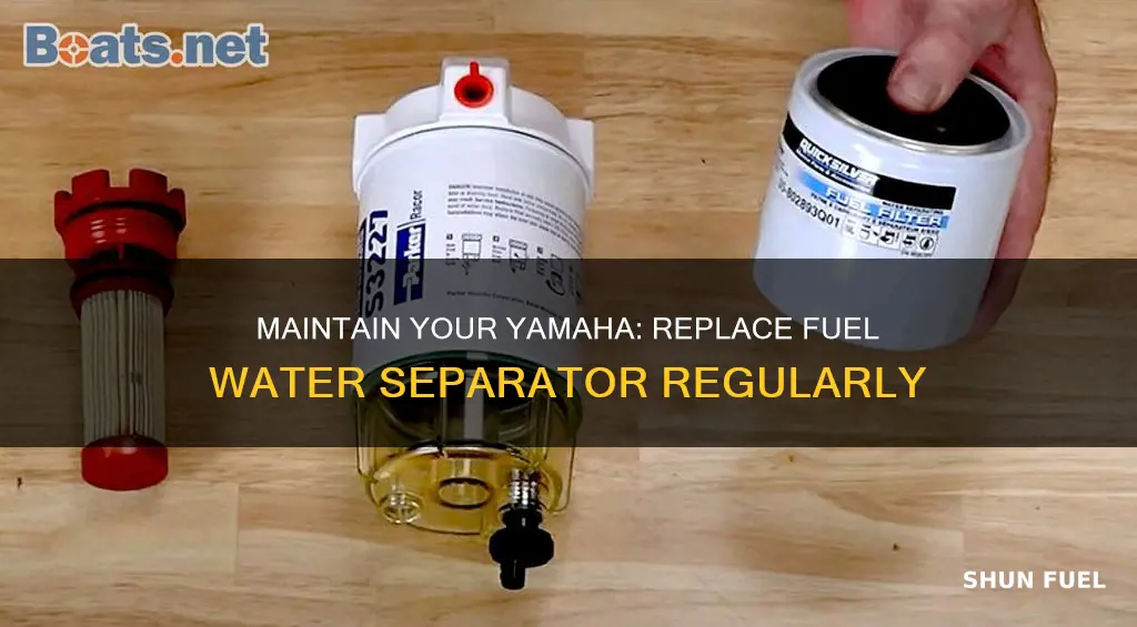 how often to replace yamaha fuel water separator