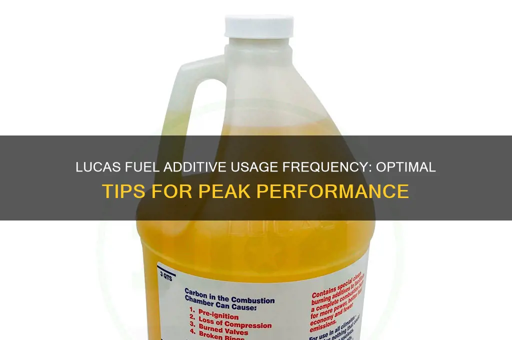 how often to use lucas fuel additive