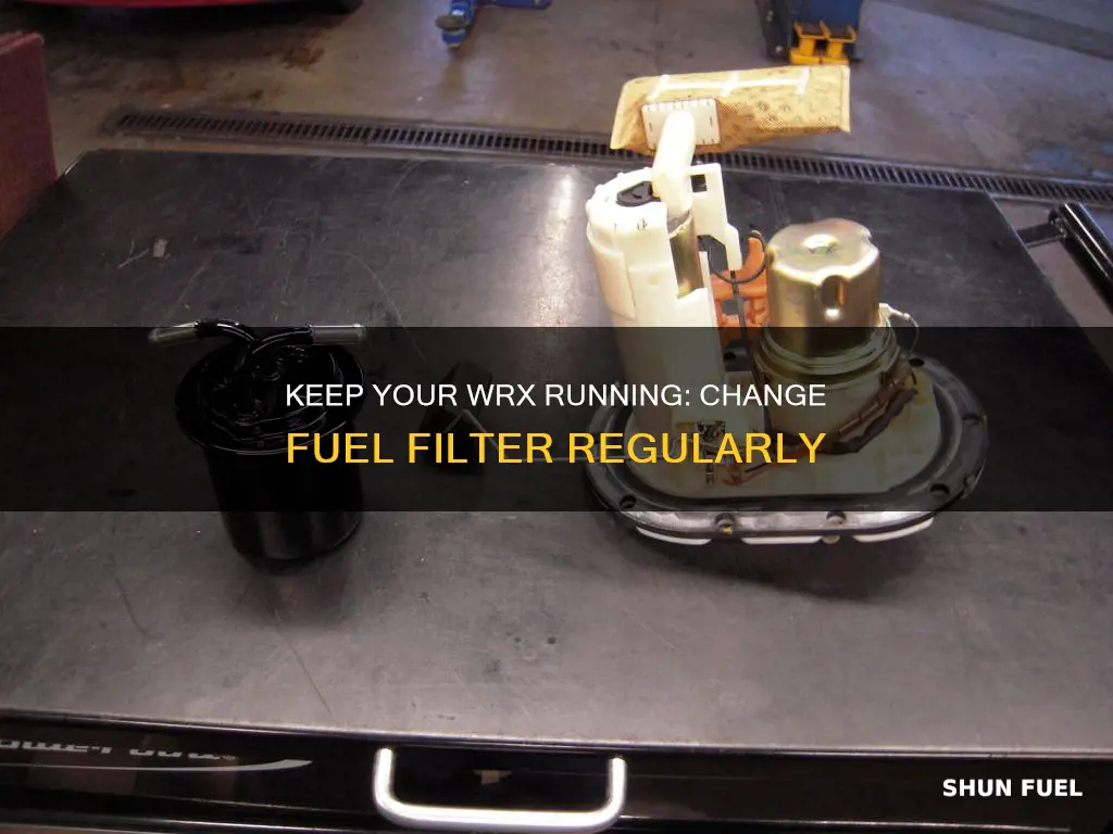 how often wrx fuel filter