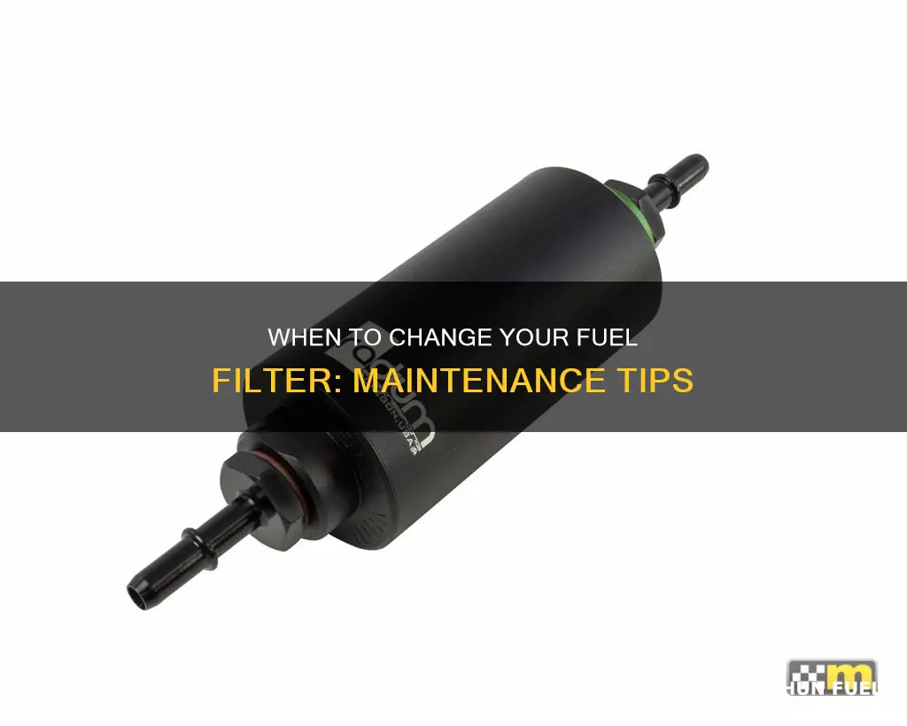 how often you change fuel filter