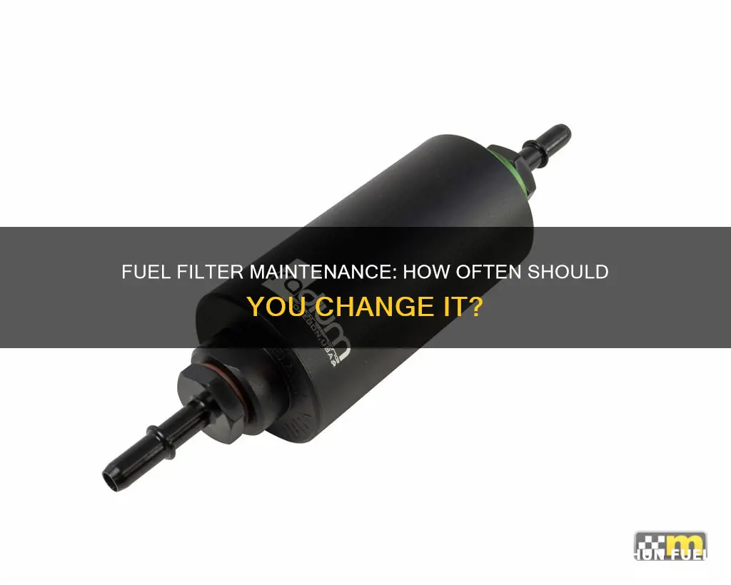 how ofter to change fuel filter