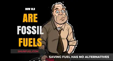The Ancient Origins of Fossil Fuels
