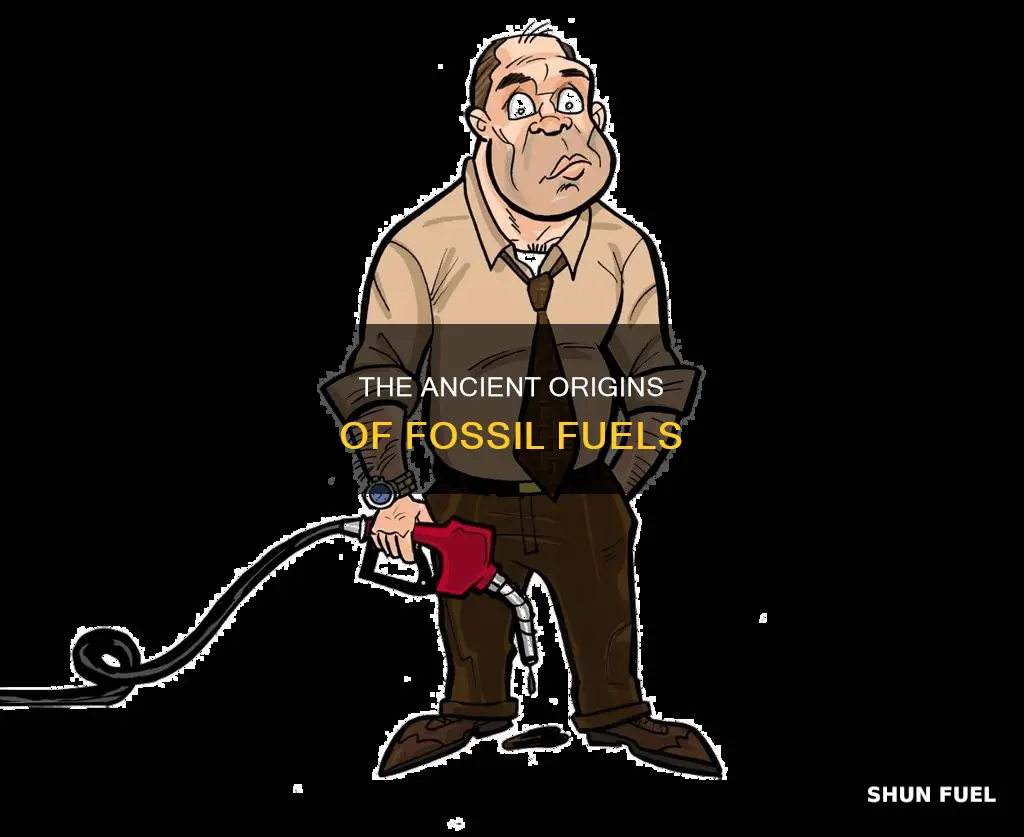 how old are fossil fuels