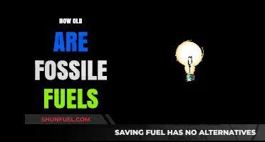 Unveiling the Ancient Origins of Fossil Fuels: A Timeline