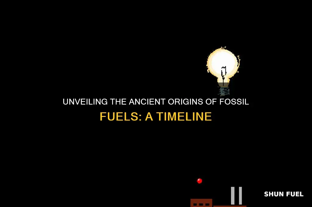 how old are fossile fuels