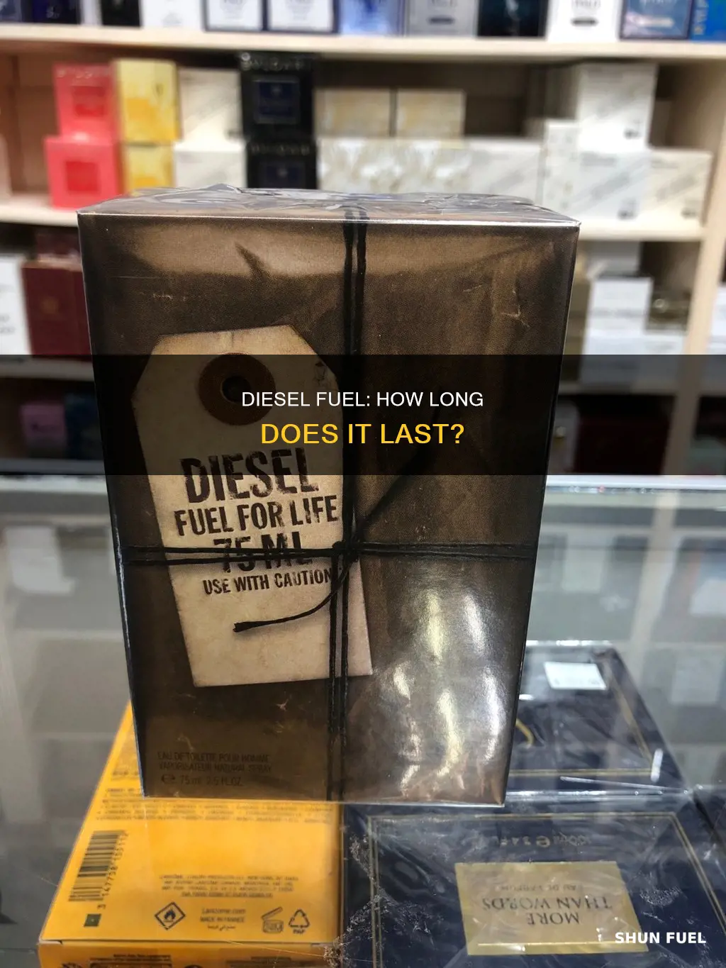 how old can diesel l fuel get