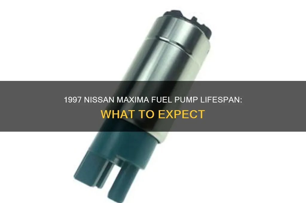how ong does a nissan maxima 1997 fuel pump last
