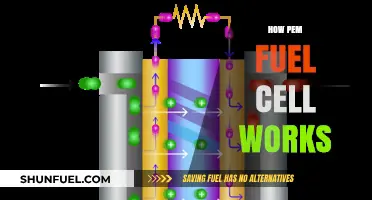 Understanding PEM Fuel Cells: A Comprehensive Guide to Their Functionality