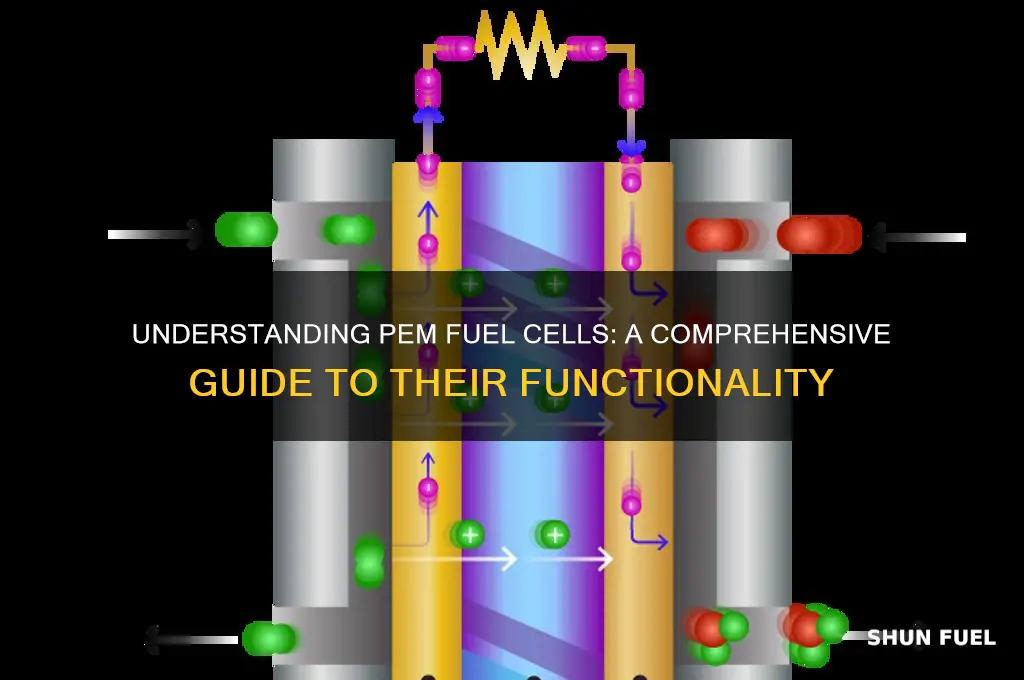 how pem fuel cell works