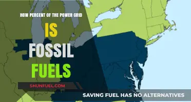 Fossil Fuels Dominance: Analyzing Their Percentage in Today's Power Grid