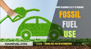 Reducing Fossil Fuel Dependence: Feasibility and Real-World Challenges Explored
