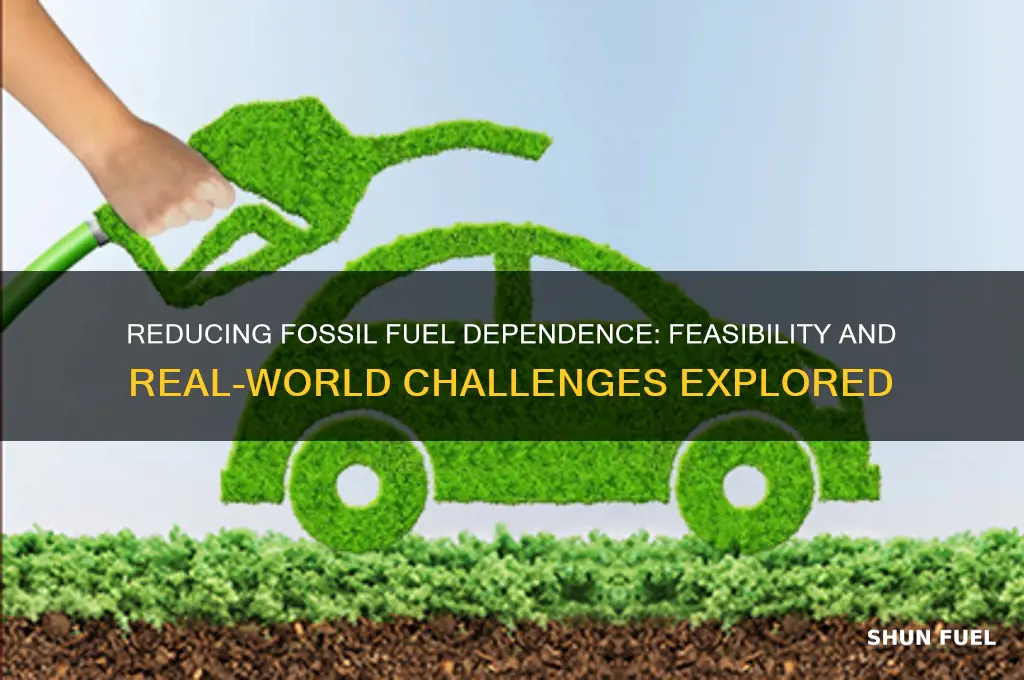 how plausible is it to reduce fossil fuel use
