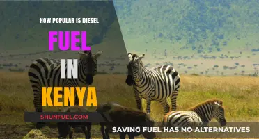Diesel Fuel in Kenya: A Popular Choice?