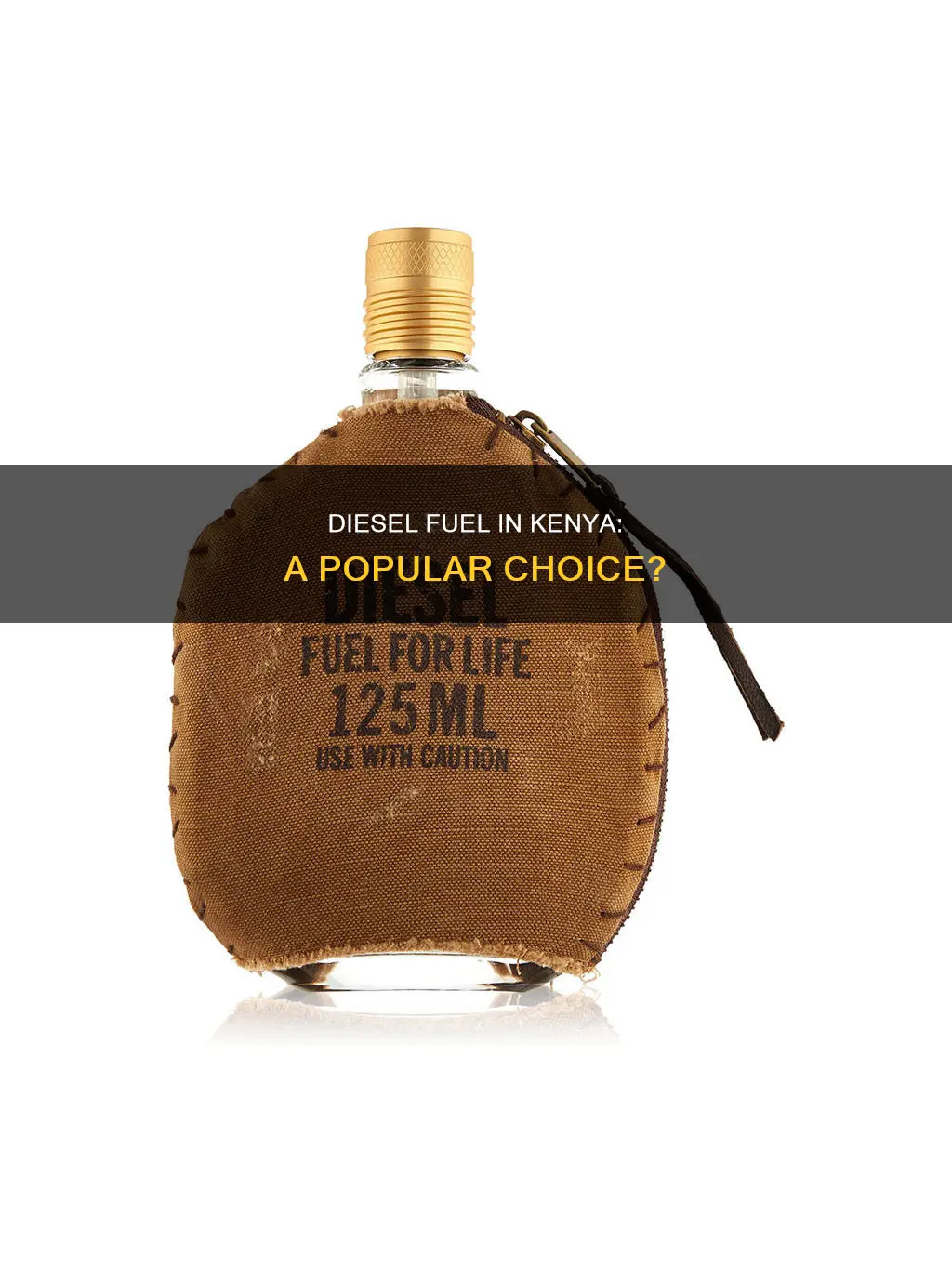 how popular is diesel fuel in kenya