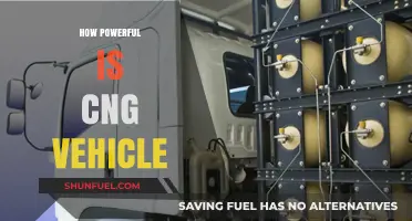 Exploring the Strength and Efficiency of CNG Vehicles