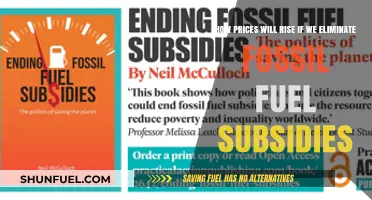 Ending Fossil Fuel Subsidies: The Inevitable Surge in Energy Prices