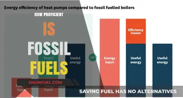 Fossil Fuels Proficiency: Assessing Efficiency, Impact, and Future Sustainability