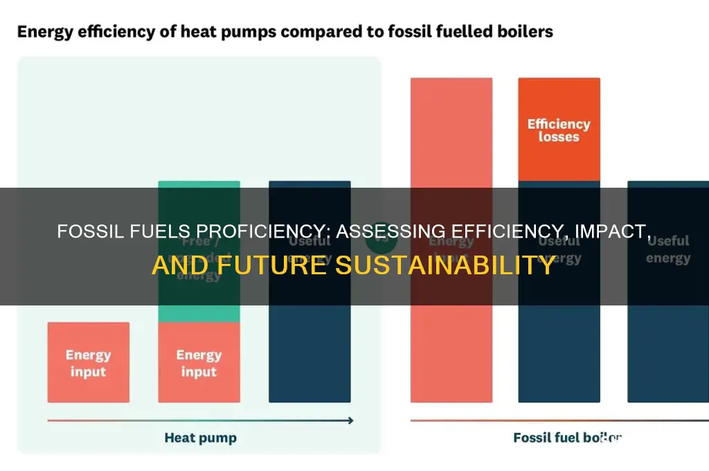 how proficient is fossil fuels