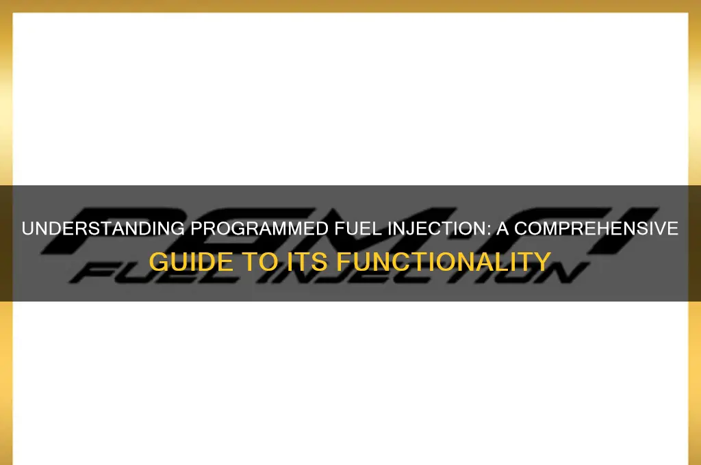 how programmed fuel injection works