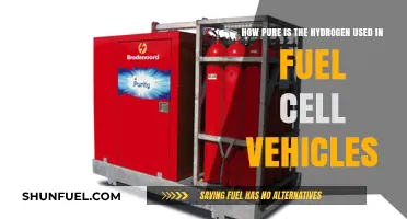 Hydrogen Purity in Fuel Cell Vehicles: Quality, Efficiency, and Performance
