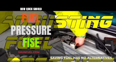 Fuel Pressure Rise: Quick or Slow?