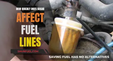 Sugar's Impact: How Fast Does It Affect Fuel Lines?