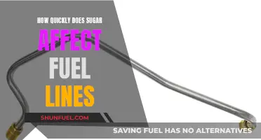 Sugar's Impact: Fuel Lines and Their Quick Demise