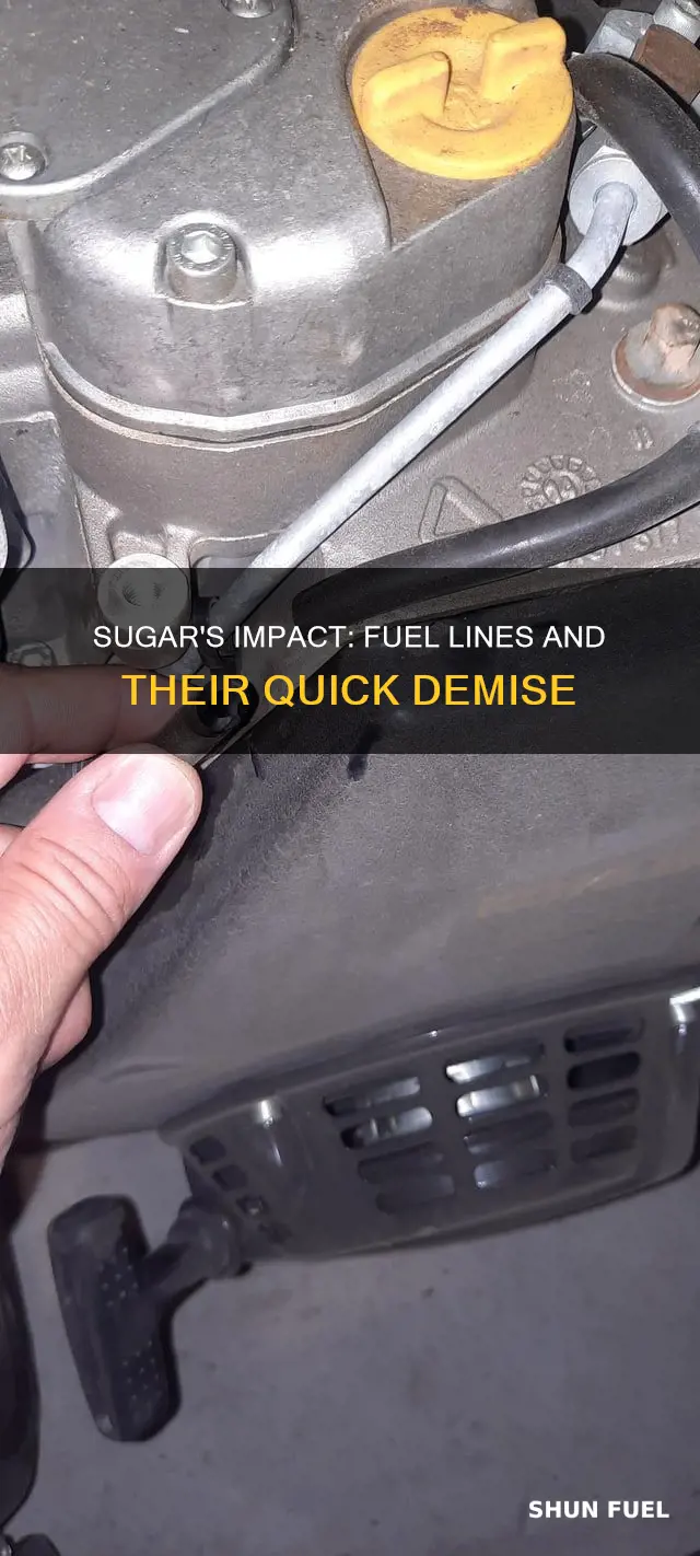 how quickly does sugar affect fuel lines