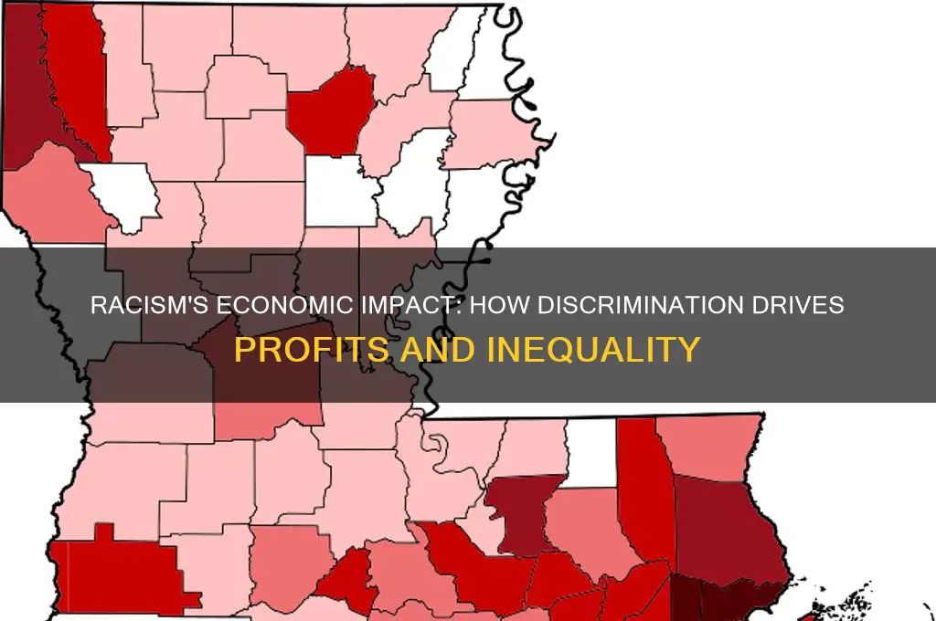 how racism fuels economy