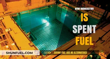 Unveiling the Radioactive Reality of Spent Nuclear Fuel