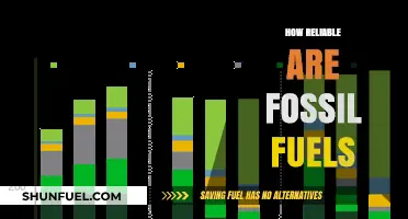 Are Fossil Fuels a Reliable Energy Source for the Future?
