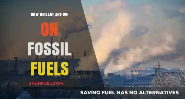 Fossil Fuel Dependence: Assessing Our Global Energy Reliance and Alternatives