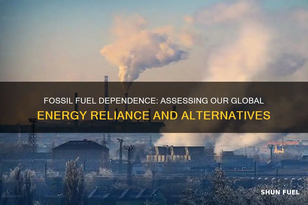 how reliant are we on fossil fuels