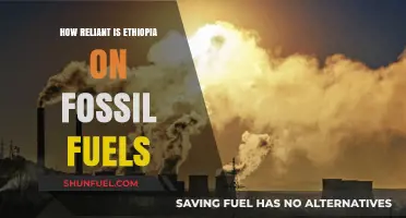 Ethiopia's Energy Dependence: Assessing Fossil Fuel Reliance and Alternatives