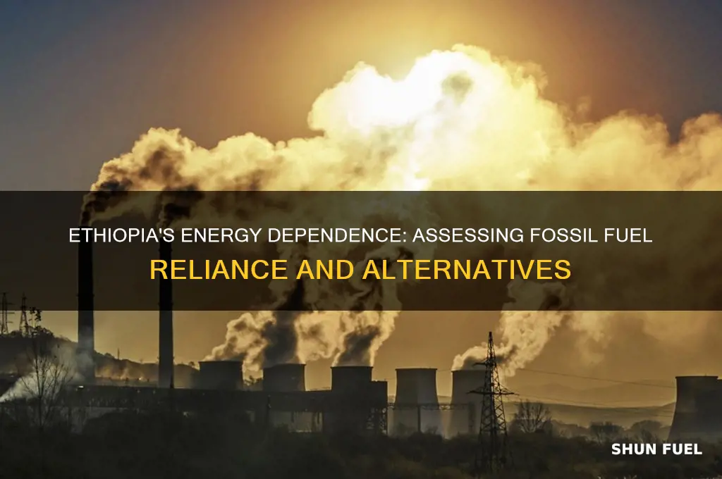 how reliant is ethiopia on fossil fuels