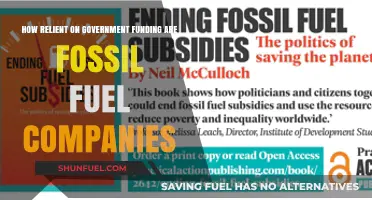 Fossil Fuel Companies' Dependence on Government Funding: A Deep Dive