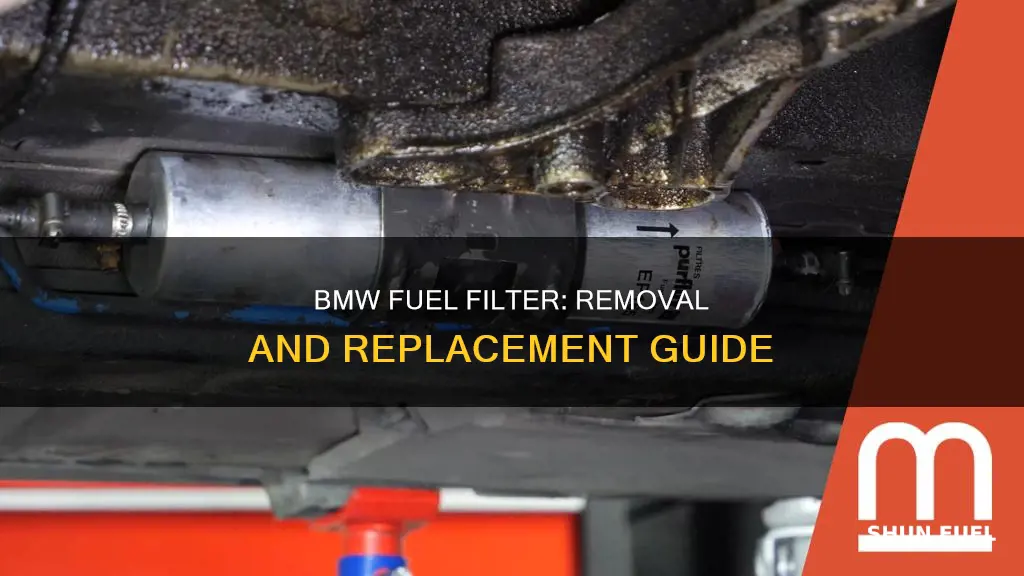 how remove bmw fuel filter