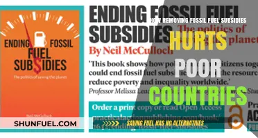 Ending Fossil Fuel Subsidies: A Blow to Struggling Economies