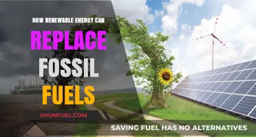 Renewable Energy Revolution: Replacing Fossil Fuels for a Sustainable Future