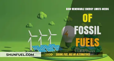 Renewable Energy Revolution: Reducing Fossil Fuel Dependence for a Sustainable Future