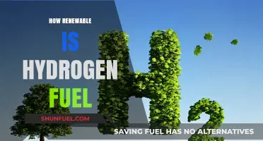 Is Hydrogen Fuel Truly Renewable? Exploring Its Sustainability and Potential
