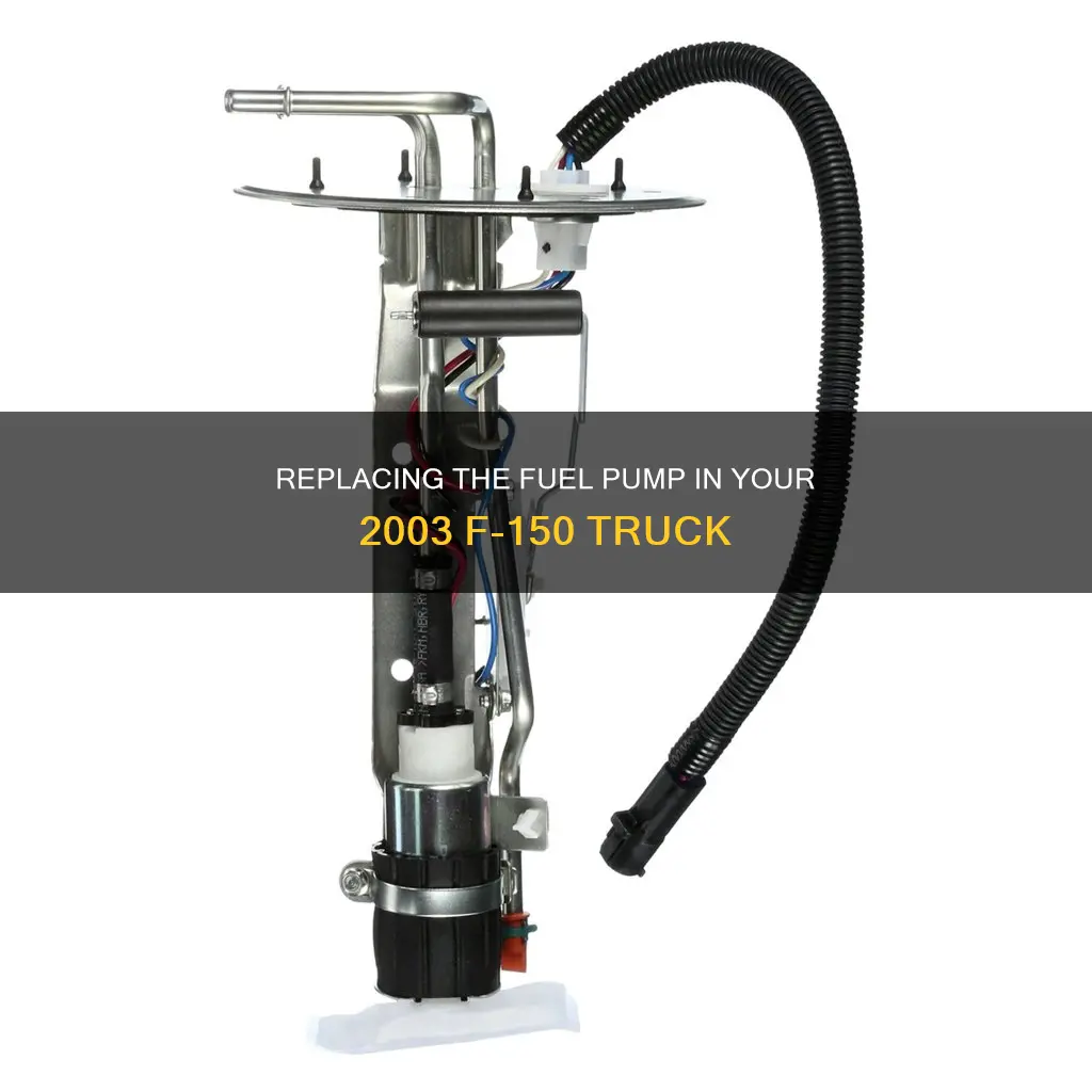 how replace a fuel pump on 2003 f 150