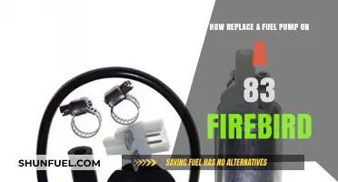 Replacing the Fuel Pump: A Guide for 1983 Firebird Owners