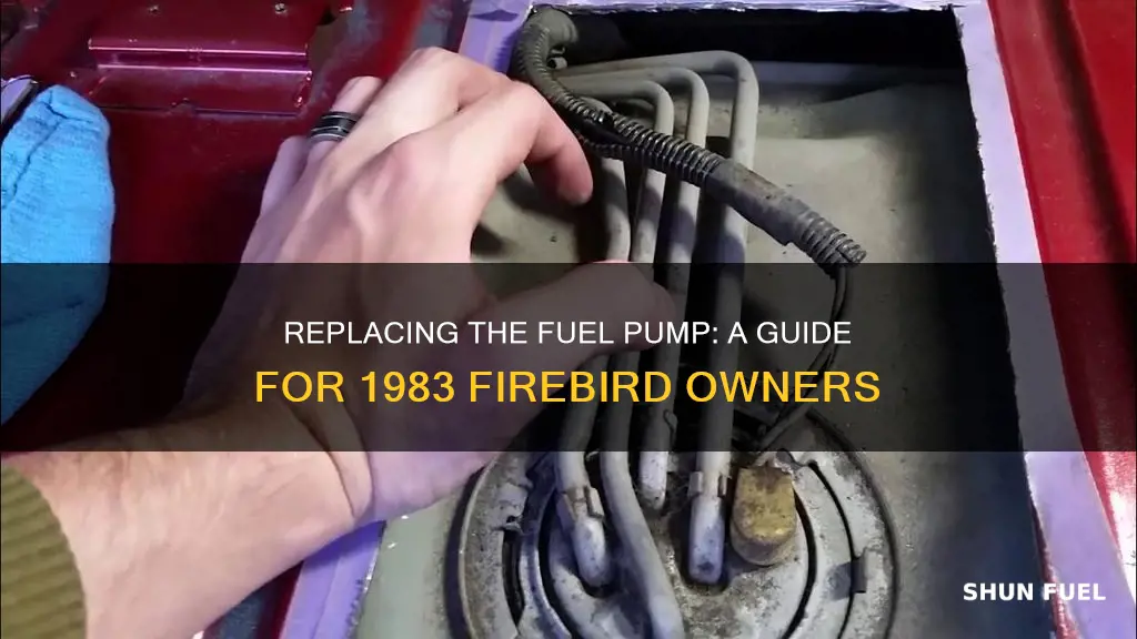 how replace a fuel pump on a 83 firebird