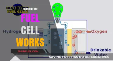 Understanding Reverse Fuel Cells: Functionality, Applications, and Benefits Explained