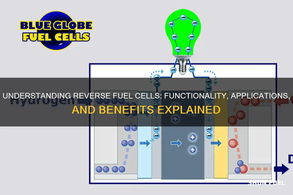 how reverse fuel cell works