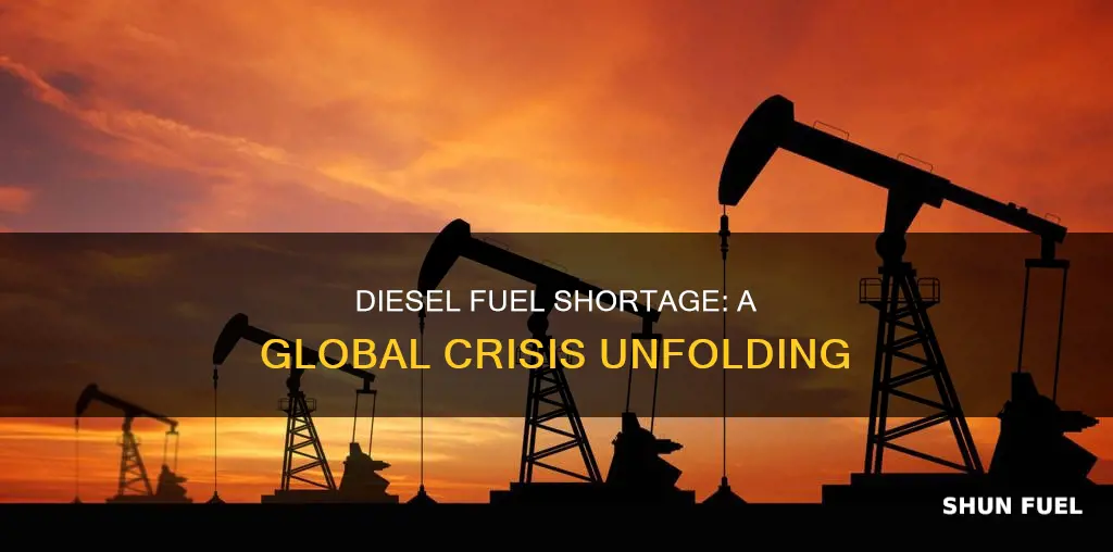 how serious is the diesel fuel shortage