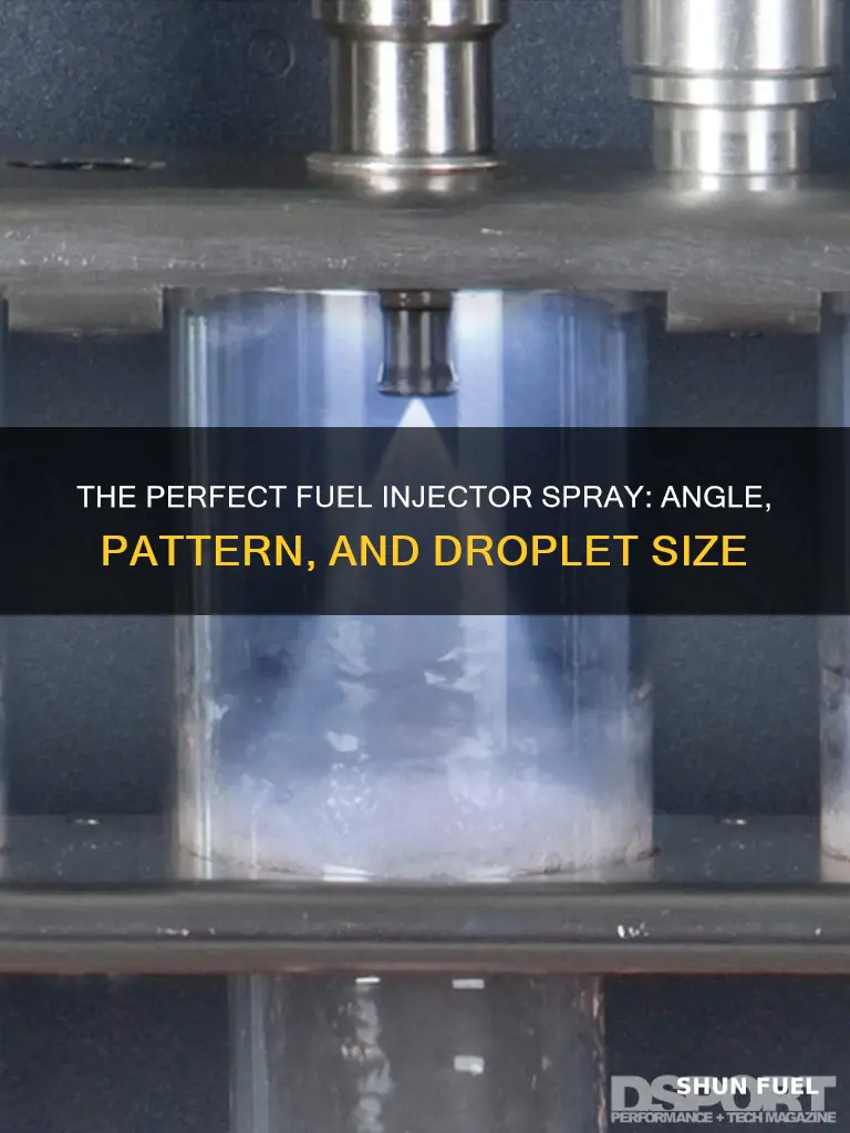 how should a fuel injector spray