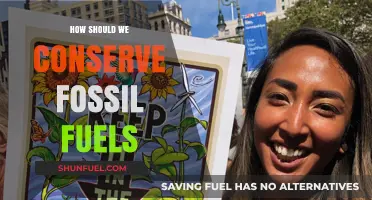 Sustainable Strategies to Preserve Fossil Fuels for Future Generations