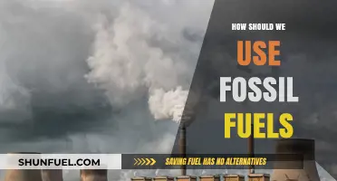 Balancing Energy Needs: Responsible Fossil Fuel Use in a Changing World